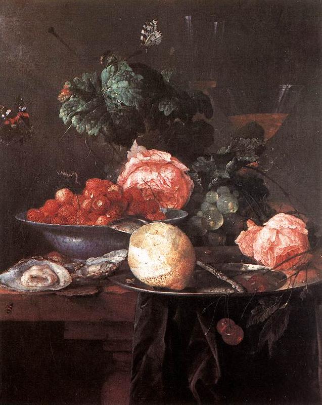 Jan Davidsz. de Heem Still-life with Fruits oil painting picture